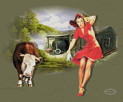 Bull chases pinup girl
