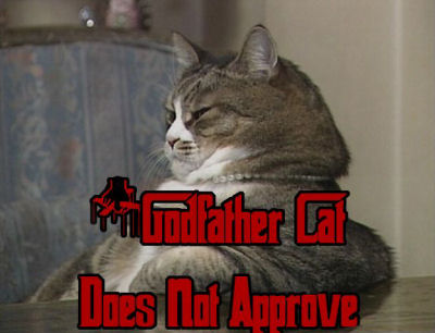 Godfather_CatDoesNotApproveM.jpg