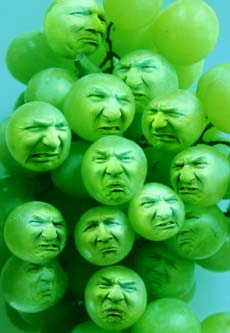 Grapes_Sour.jpg