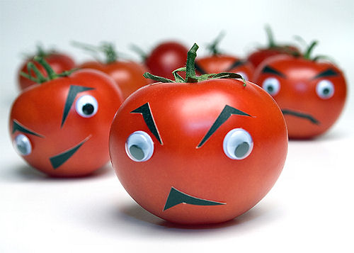 Tomatoes_AngryM.jpg